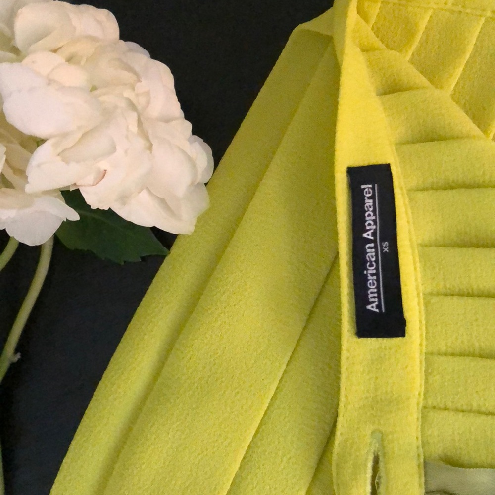 American Apparel Pleated Skirt